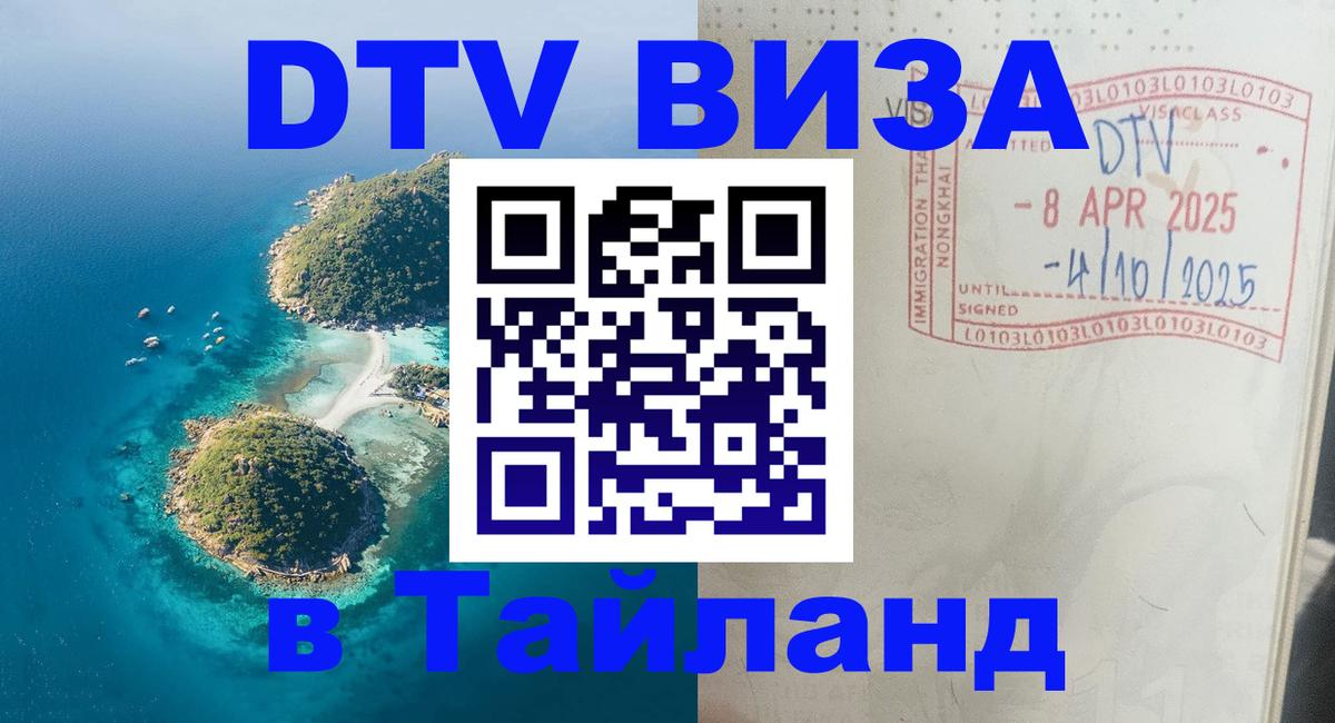 Оформление DTV визы под ключ: стоимость и тарифы, только загранпаспорт - 